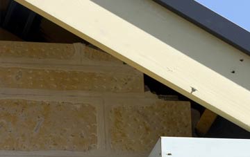 soffit repair Hammerpot