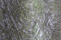 Hammerpot fibreglass roof work